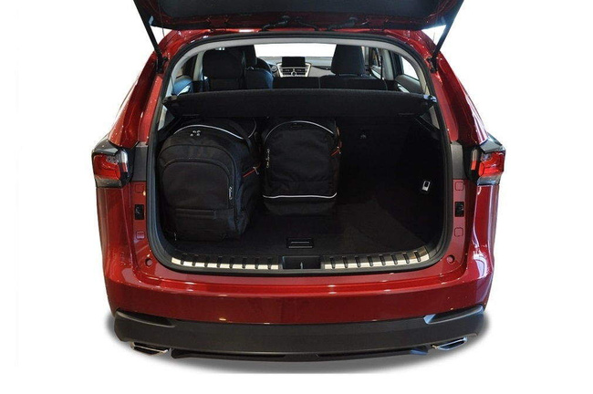 LEXUS NX 2014-2021 CAR BAGS SET 4 PCS